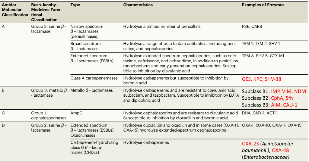 Beta-Lactamase Classification