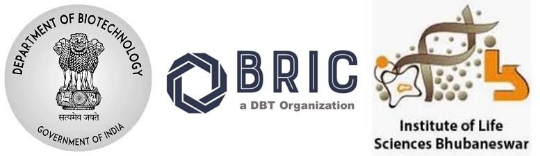 BRIC-ILS