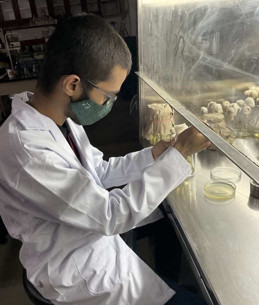 Researcher working in the lab